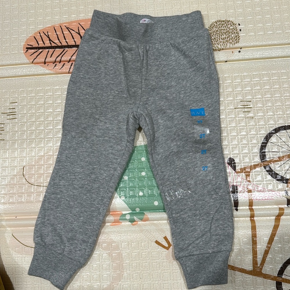 sweatpants 2t Children’s place